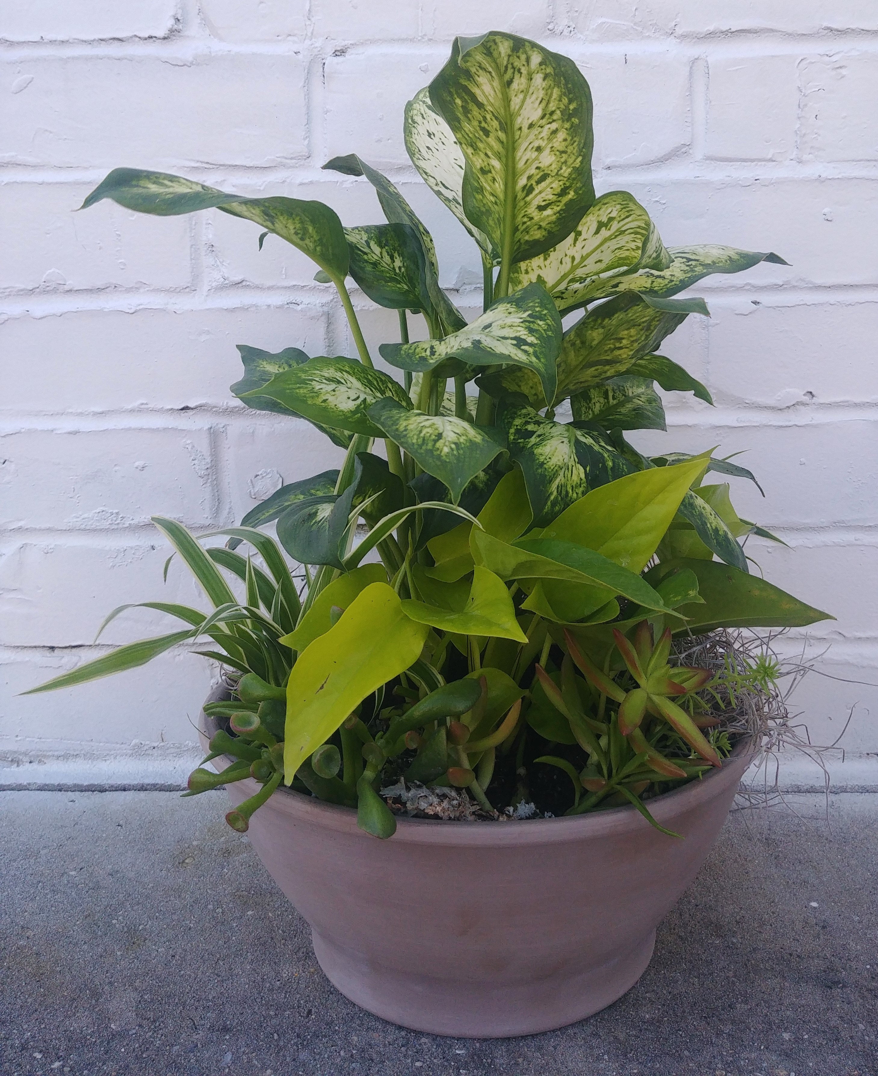 BRIGHT HAPPY PLANTER | COMEAUX'S FLORIST